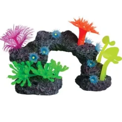 Underwater Treasures Reef Scenery - Style C - Small