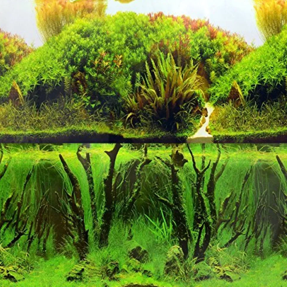 Underwater Treasures Rolling Hills/Mystic Forest Reversible Background - 20" - Sold by the Foot - 50 Feet