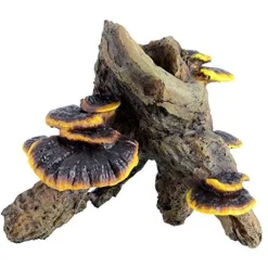 Underwater Treasures Root with Mushroom - Medium