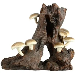 Underwater Treasures Root with Mushroom - Large