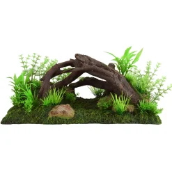 Underwater Treasures Root Cave