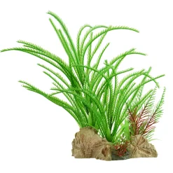Underwater Treasures Sawblade Ferns