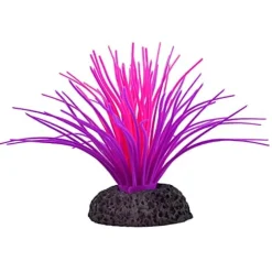 Underwater Treasures Sea Anemone - Pink/Purple