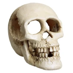 Underwater Treasures Skull