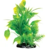 Underwater Treasures Spade Fern - 8.5"
