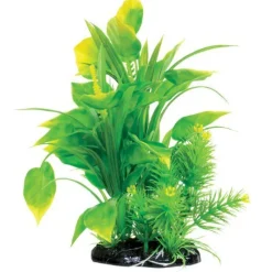 Underwater Treasures Spade Fern - 8.5"