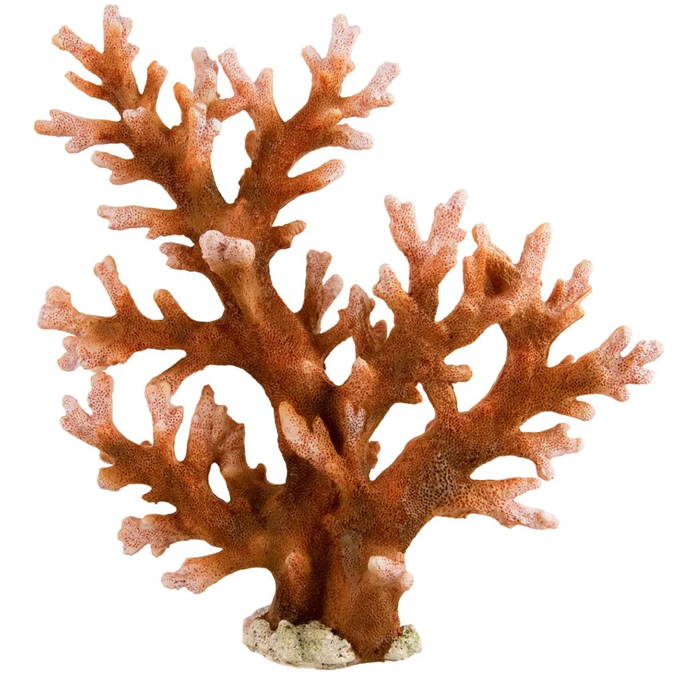 Underwater Treasures Staghorn - Large