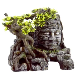 Underwater Treasures Stone Face