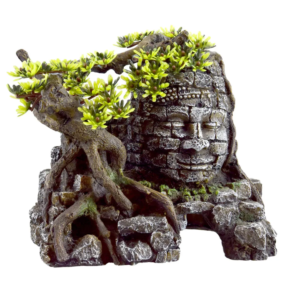 Underwater Treasures Stone Face