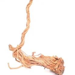 Underwater Treasures Terrarium Wood Root