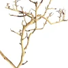 Underwater Treasures Tiny Ramous Wood - 8" - 12"