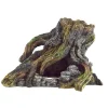 Underwater Treasures Twisted Stump