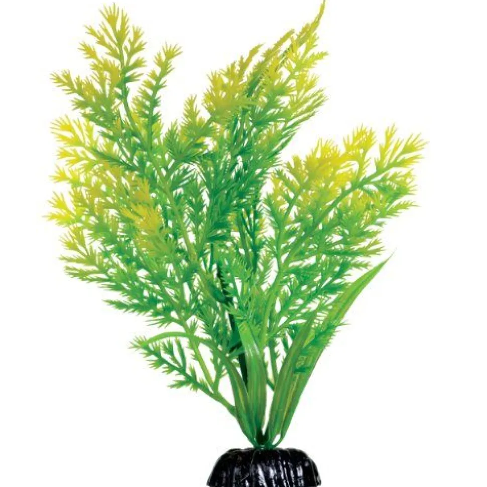 Underwater Treasures Water Violet - 8"