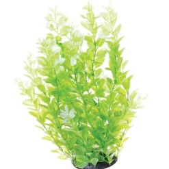 Underwater Treasures White Tipped Cardamine - 12"