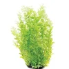 Underwater Treasures White Tipped Cardamine - 16"