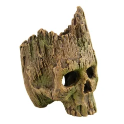 Underwater Treasures Wood Skull
