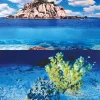 Underwater Treasures Yellow Coral/Waves Stone Reversible Background - 20" - Sold by the Foot - 50 Feet