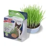 Van Ness Oat Garden Kit