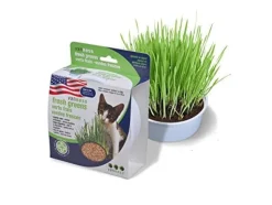 Van Ness Oat Garden Kit