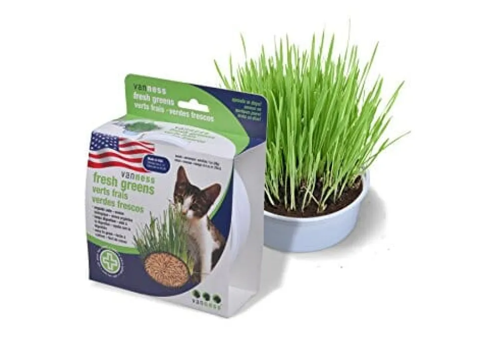 Van Ness Oat Garden Kit