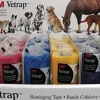 Vetrap Bandaging Tape Display - Assorted - 4 In X 5 Yd - 24