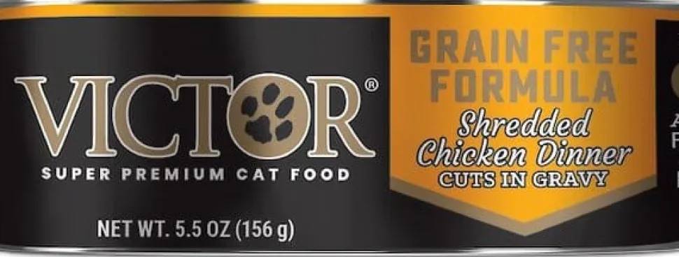 Victor Feline Shredded Chicken in Gravy Canned Cat Food - 5.5 oz - Case of 24