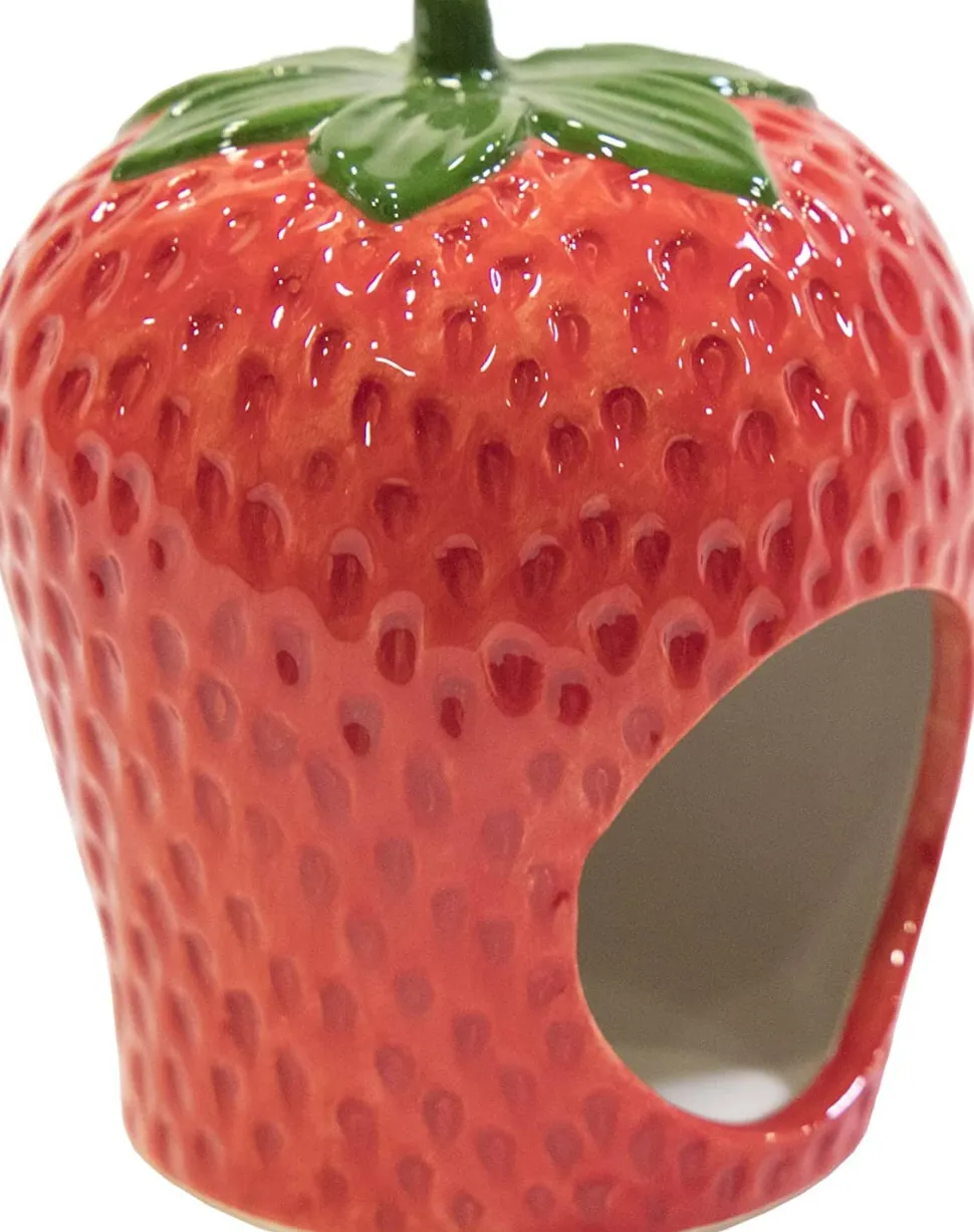 Ware Berry Hamster Hideout Small Animal Hideaway -