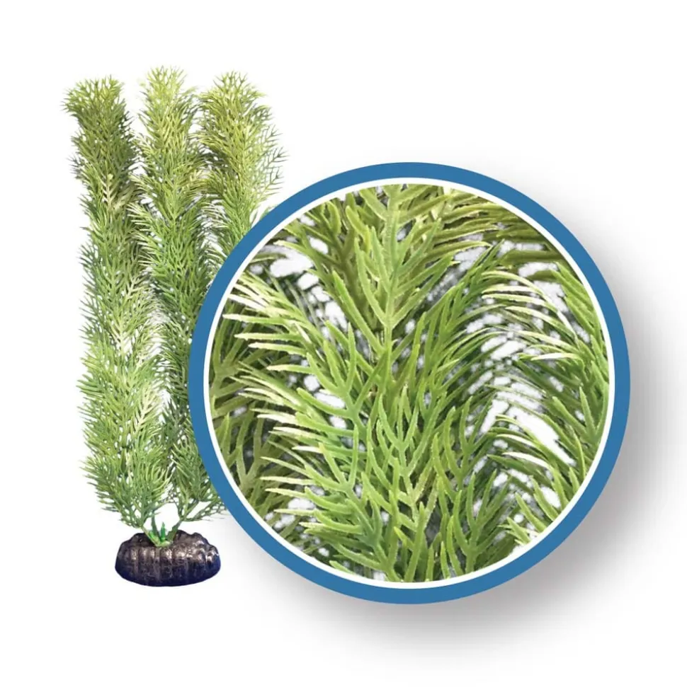 Weco Products Freshwater Pro Series Cabomba Aquarium Plant - Green - 6 in