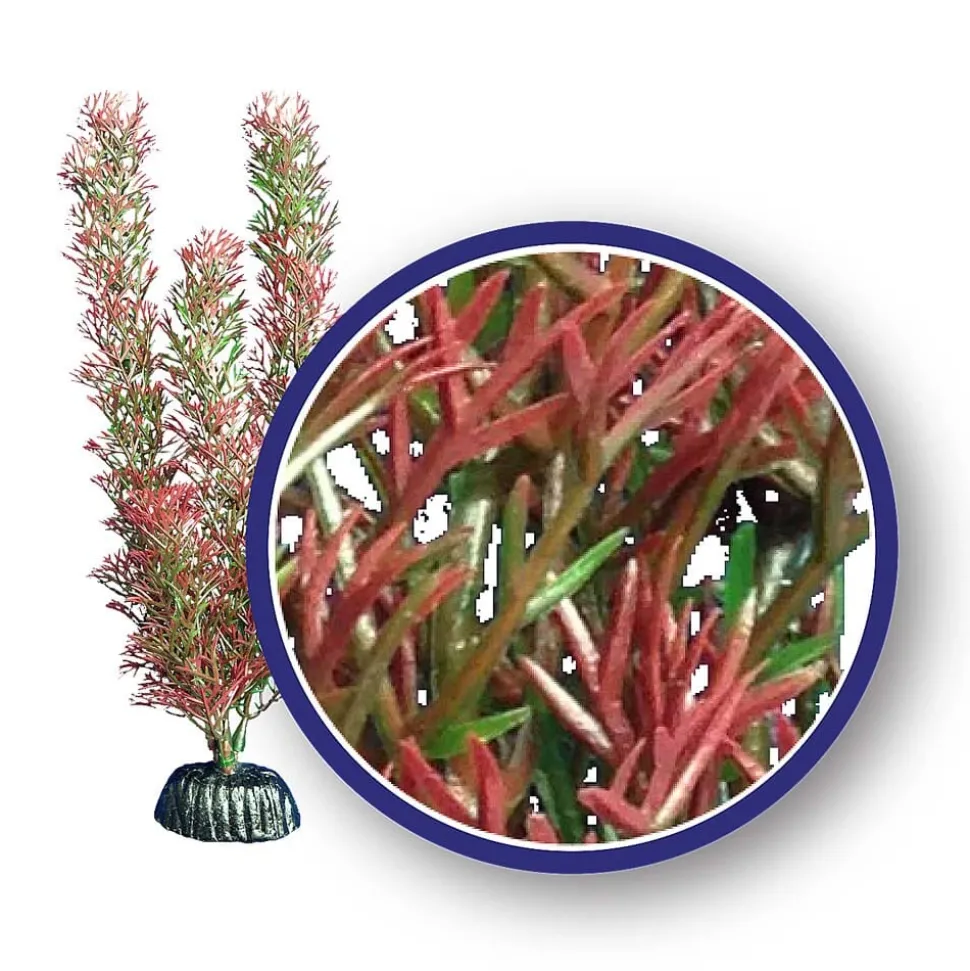 Weco Products Freshwater Series Foxtail Aquarium Plant - Red - 18 in
