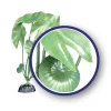 Weco Products Freshwater Series Tiger Lotus Aquarium Plant - Green - 9 in