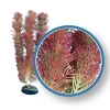 Weco Products Freshwater Pro Series Cabomba Aquarium Plant - Red - 9 in