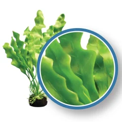 Weco Products Freshwater Pro Series Amazon Ruffled Sword Aquarium Plant - Green - 6 in