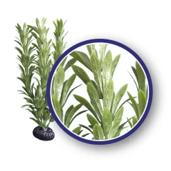 Weco Products Freshwater Series Anacharis Aquarium Plant - Green - 6 in