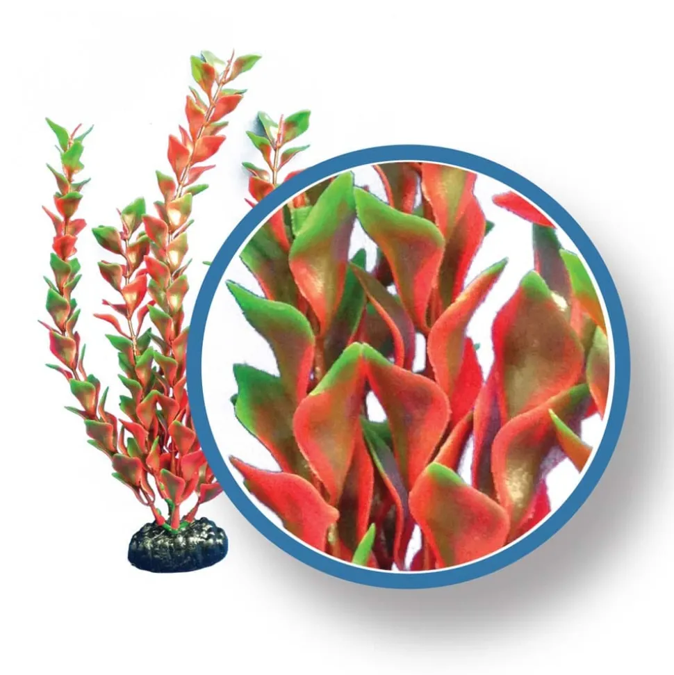Weco Products Freshwater Pro Series Ludwigia Aquarium Plant - Red - 9 in