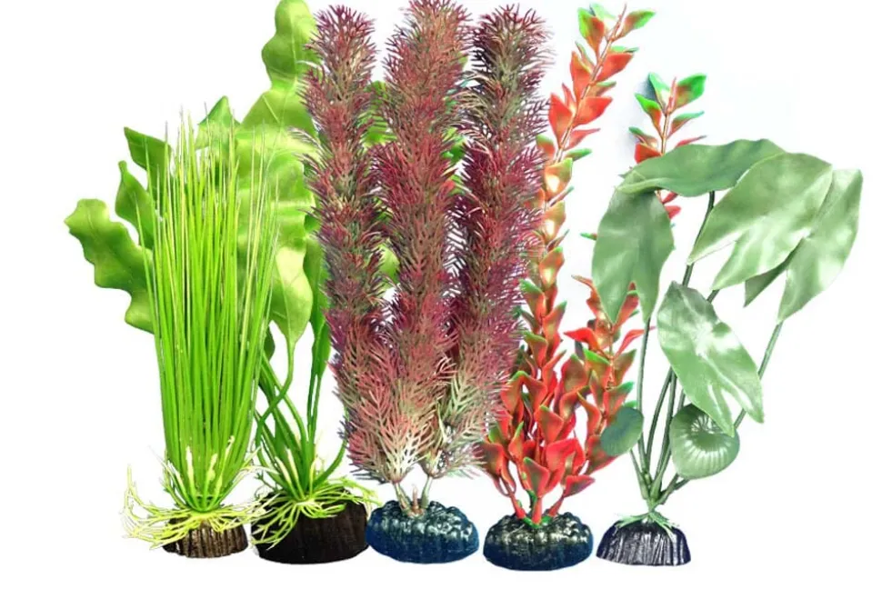 Weco Products Freshwater Aquarium Plant 105 Assorted - Multipack