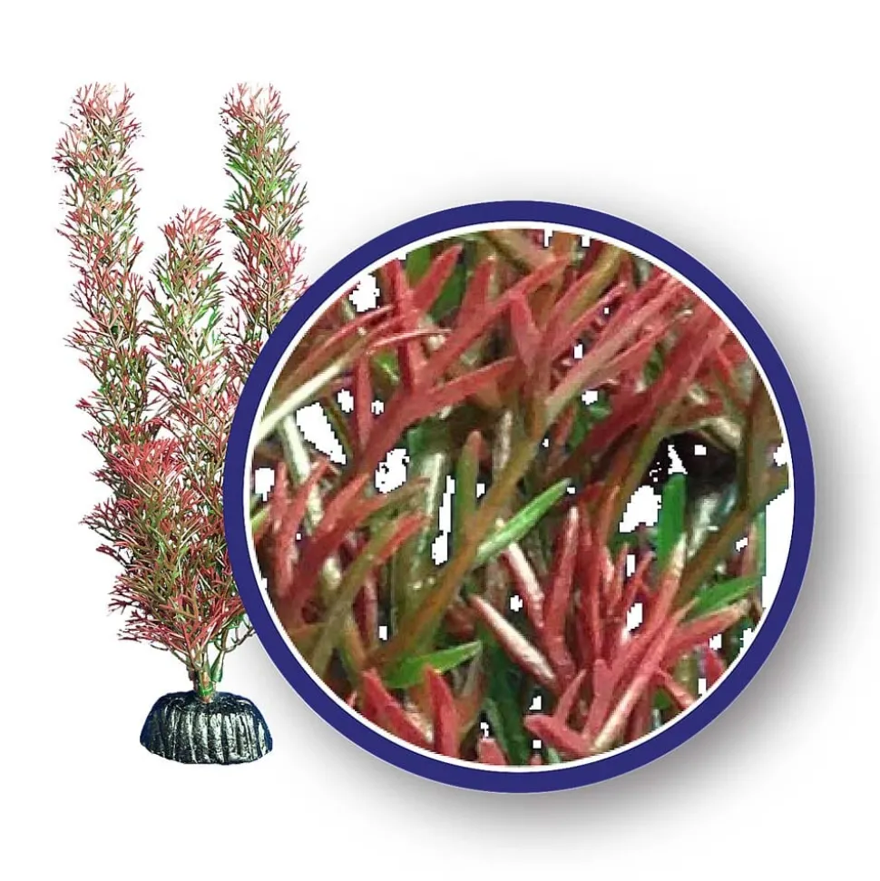 Weco Products Freshwater Series Foxtail Aquarium Plant - Red - 6 in