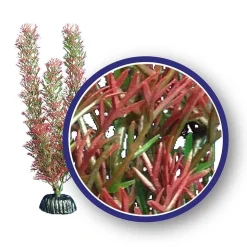 Weco Products Freshwater Series Foxtail Aquarium Plant - Red - 9 in