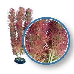 Weco Products Freshwater Pro Series Cabomba Aquarium Plant - Red - 12 in