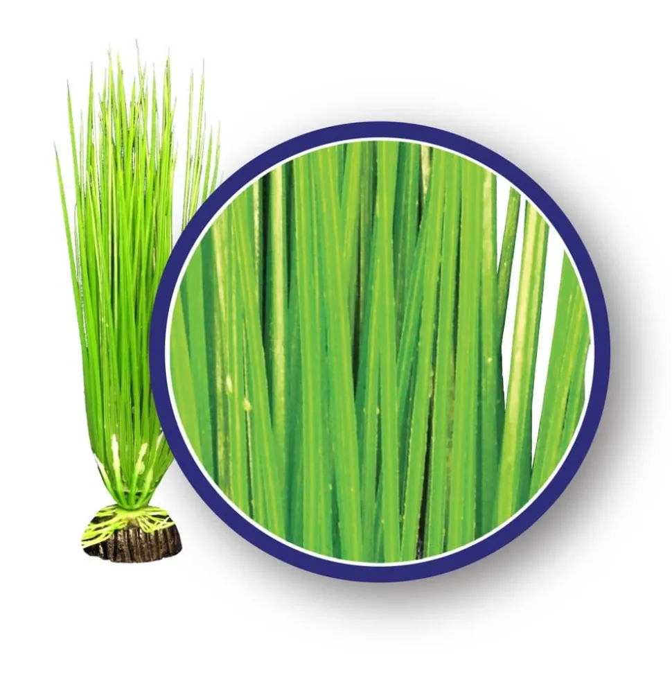 Weco Products Freshwater Series Asian Hairgrass Aquarium Plant - Green - 12 in