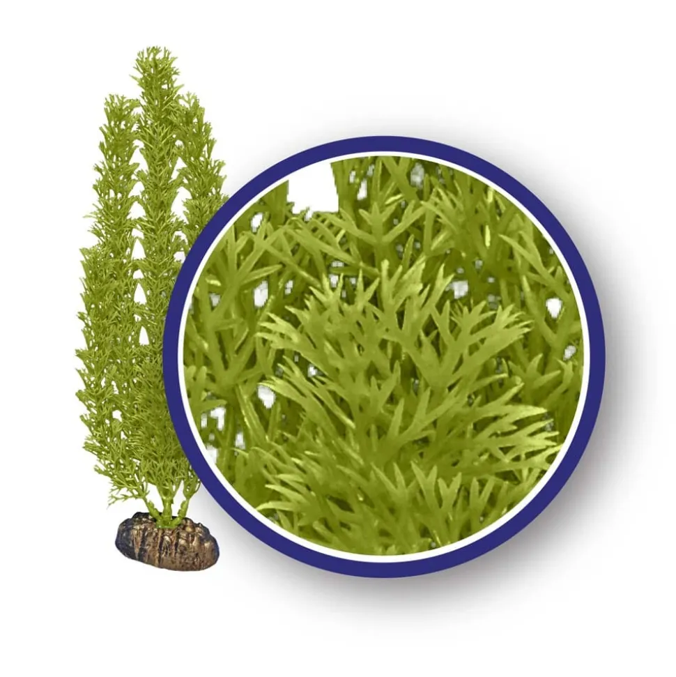 Weco Products Freshwater Series Foxtail Aquarium Plant - Green - 18 in