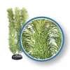 Weco Products Freshwater Pro Series Cabomba Aquarium Plant - Green - 12 in