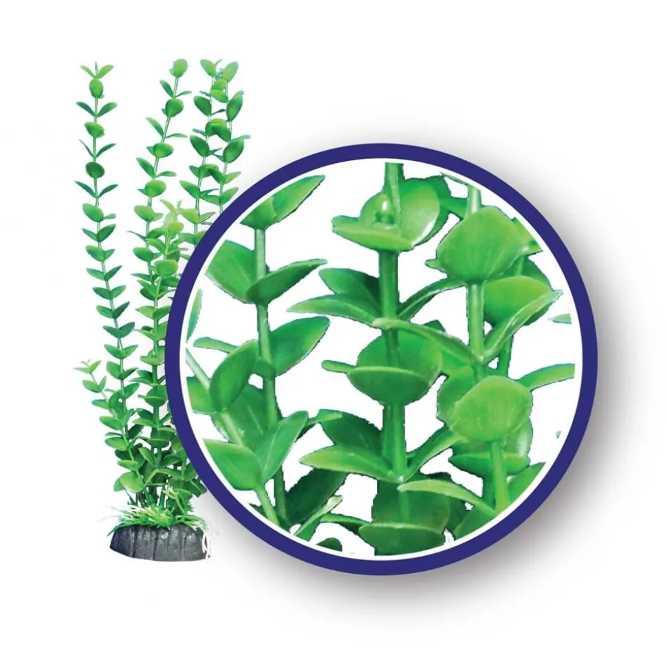 Weco Products Freshwater Series Bacopa Aquarium Plant - Green - 9 in