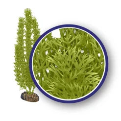 Weco Products Freshwater Series Foxtail Aquarium Plant - Green - 9 in