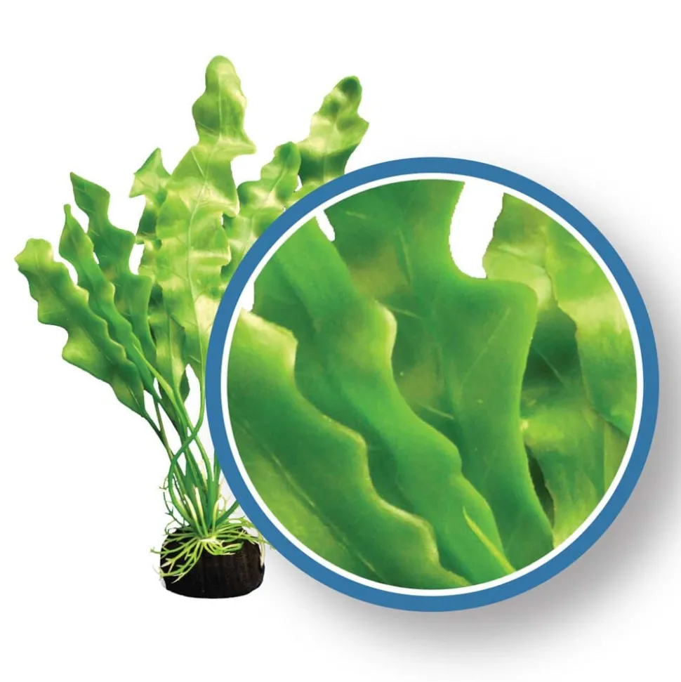 Weco Products Freshwater Pro Series Amazon Ruffled Sword Aquarium Plant - Green - 12 in