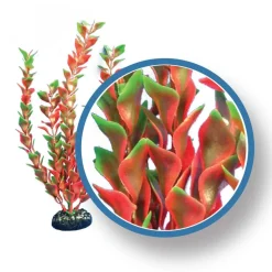 Weco Products Freshwater Pro Series Ludwigia Aquarium Plant - Red - 6 in