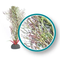 Weco Products Marine Pro Series Fine Branch Kelp Aquarium Plant - Green - 24 in