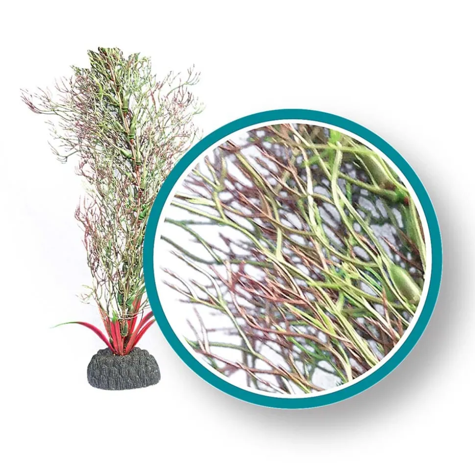 Weco Products Marine Pro Series Fine Branch Kelp Aquarium Plant - Green - 24 in