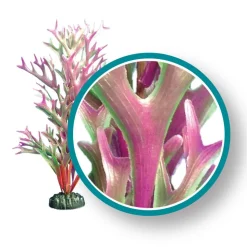 Weco Products Marine Pro Series Giant Kelp Aquarium Plant - Red - 12 in - Giant