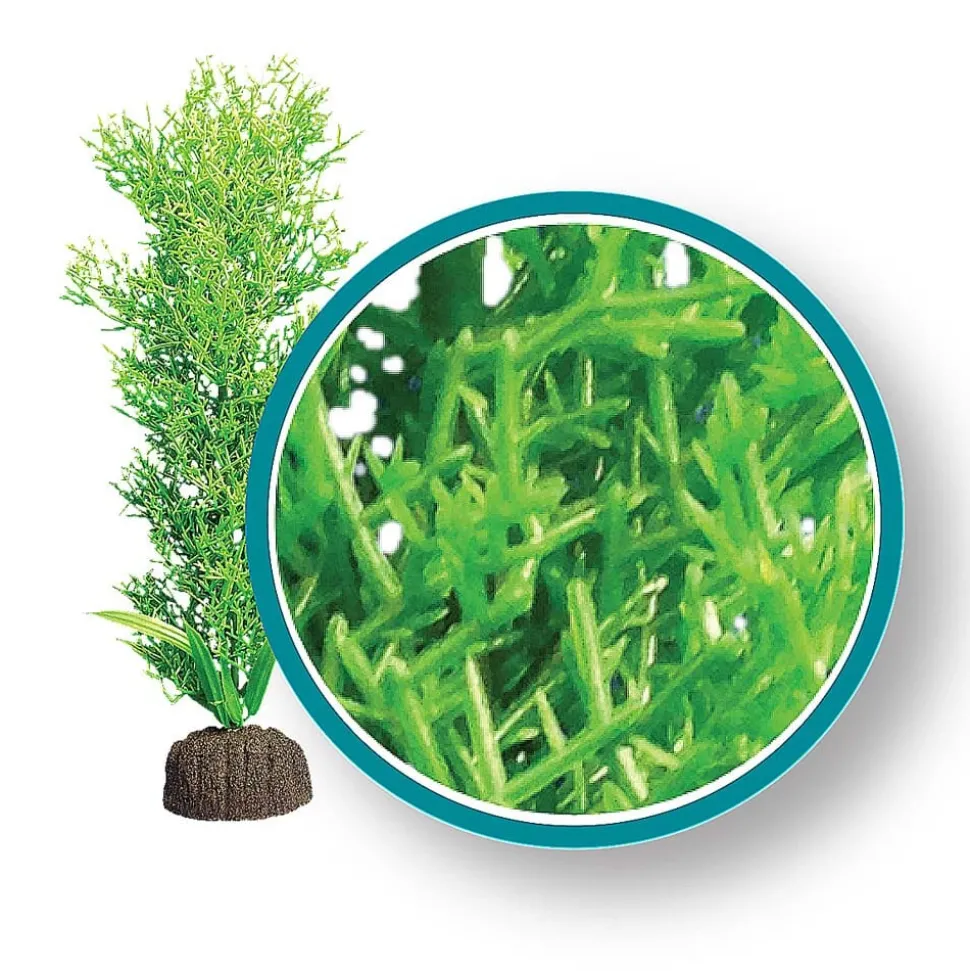 Weco Products Marine Pro Series Bushy Kelp Aquarium Plant - Green - 6 in