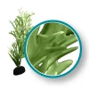 Weco Products Marine Pro Series Giant Kelp Aquarium Plant - Green - 12 in - Giant